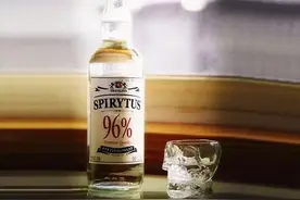 世界6大高度烈酒，我国白酒众多却没上榜，全敢尝试的人真的不多图片