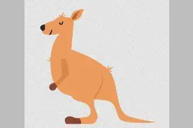 必须知道的音乐家和他的作品——圣·桑《动物狂欢节》（2）图片