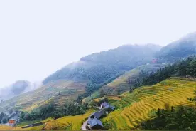 湘中（新化）常用谚语图片