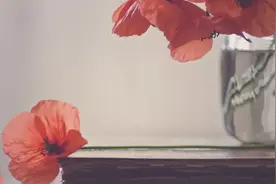 有故事的人，才能看懂阿德勒的8句话图片