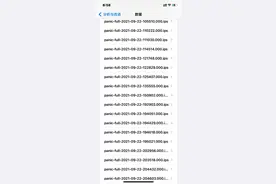 大佬们帮我看下xr 重启这个故障码是什么意思图片