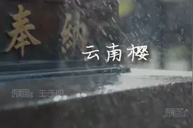 王子阳《云南樱》MV饭制版