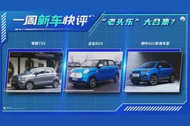 一周新车快评丨“老头乐”电动车大合集？图片