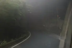 周末游德清莫干山，没想到下雨了图片