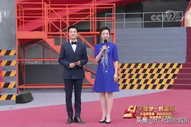 任鲁豫否定央视“综艺一哥”概念，理由让人无法反驳，难怪他能红图片