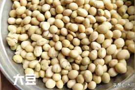 怎样用黄豆制作有机肥？操作的步骤是什么？图片