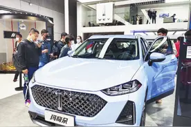 “日照造”长城 WEY 玛奇朵登陆上海车展图片