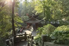 比肩奈良的浙南小京都，快来和梅花鹿互动，探访古时丽水八景之一图片