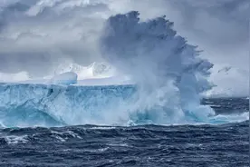 老牌电商走秀暂停业务：创始人纪文泓曾涉嫌走私4亿被抓图片