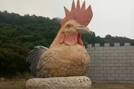 茂名有个神秘的海岛——放鸡岛，岛上却没有一只鸡图片