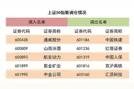 指数年中调仓，上百亿资金等着加仓这些股：通威股份、山西汾酒图片