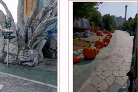 期待，黄州有望建游乐园啦！图片