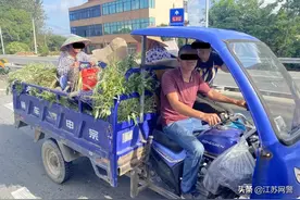 江苏镇江：三轮车违法载人，别拿危险当便捷图片