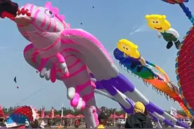 在山东潍坊，有什么是不能在天上飞的？图片