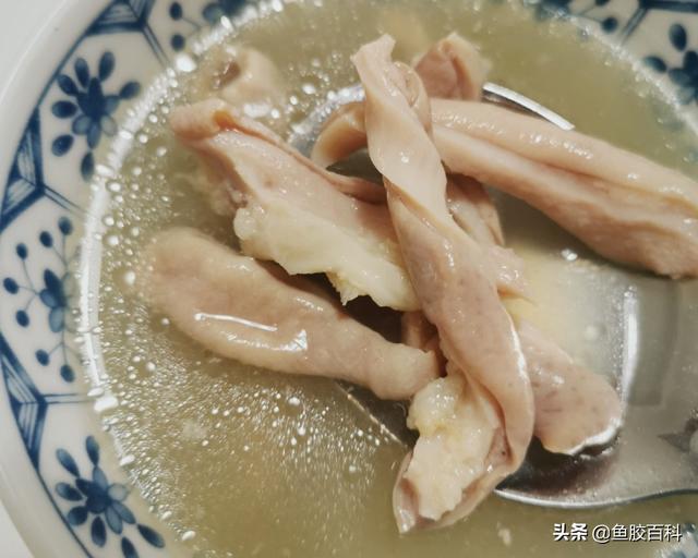 鱼鳔炖汤做法大全 2026年鱼鳔炖汤做法大全视频