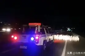 “羊咩咩”组团逛高速 交警护送安全“回家”图片