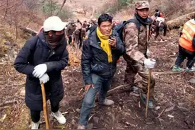 四川一村干部被野猪撕咬殉职，县林草局：境内有3000至5000头，不存泛滥情况，无捕猎计划图片