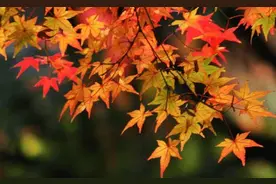 恶有恶报：你的生命里出现了这几件祸事，多半是你“自食恶果”图片