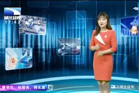 软壳蛋比硬壳蛋更加有营养？事实真是如此？实验室告诉您视频封面
