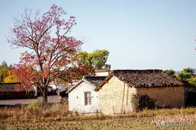 农村老人说家有口袋房，家财不聚，儿女难管，口袋房是什么样子？图片