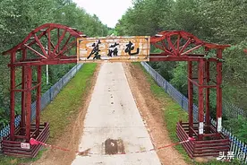 大庆有个蘑菇屯图片