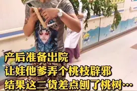 “最实惠”的宝爸火了，扛一大颗桃树杈给娃辟邪，宝妈没忍住笑了图片