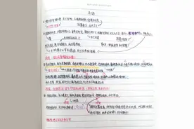 优秀笔记展示 ‖ 桃中学子的笔记棒极啦图片