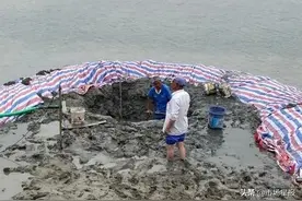 5天过去了，不明物体仍未明确图片