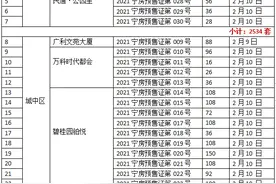 西宁2月份下发25张预售证 共4087套房源入市图片