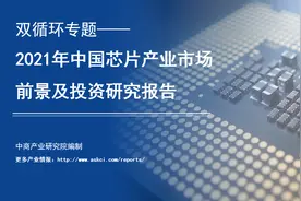 双循环专题——2021年中国芯片产业市场前景及投资研究报告图片