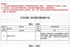 安徽考生注意！考试院公布艺术类第二批征集志愿缺额计划图片