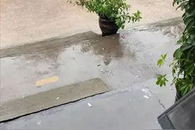 河南荥阳暴雨来袭：超市老板娘藏身冰柜漂浮洪水中逃过一劫图片