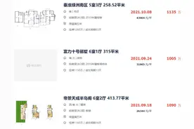 真实数据曝光！90天成交2套，南京这些地方，扛不住了…图片