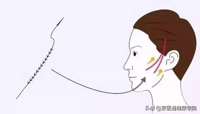 胶原蛋白粉是什么做的 2026年胶原蛋白粉是干什么用的 胶原蛋白粉是什么做的 2026年胶原蛋白粉是干什么用的