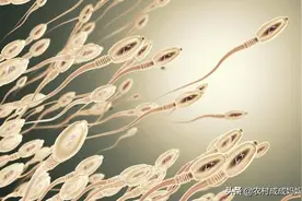 战胜2亿个竞争者，宝宝才来到你的身边，千万不要打胎图片