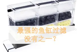 提升滴流盒的鱼缸净水效果，滤材摆放有讲究，滤材别轻易清洗视频封面