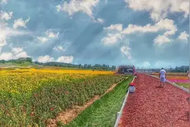 长春周边6处绝美花海，美到霸屏，错过又要等一年…图片