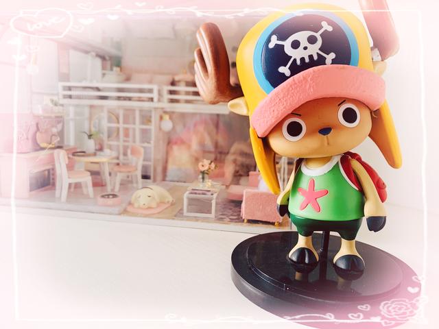 心之向往，皆在"桑尼"，成人眼中的《航海王》是驰而不往的梦想