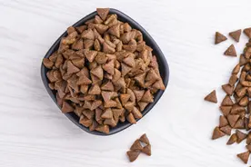 9张动图带你来看猫粮是怎么制作的呢？| 机械复制时代图片