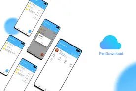 百度网盘“破解版”Pandownload凉了：开发者被抓图片