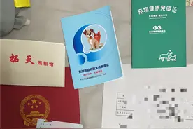 收藏！天津办理狗证指南，看这一篇就够了图片