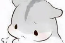 买了不想要的保险，怎么退保才能0损失？图片