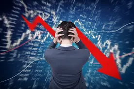 利润增长近4倍，12万股民却吃个跌停！芯片牛股士兰微怎么了？图片