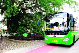 “农村公路+”铺就桂林荔浦乡村振兴康庄大道，提升村民幸福指数图片