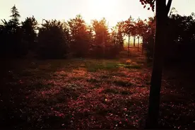 郑州一旦被直辖，新的省会花落谁家图片