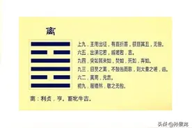 《离》：人生光明与灰暗的自我选择图片