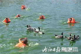 内江：趣味民俗添欢乐 水上捉鸭庆端午图片