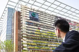 在烟草公司上班是一种什么样的体验？员工分享：工作轻松，氛围好图片