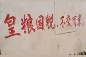 皇粮国税话今夕图片