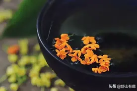 人真正的“归宿”，并非生老病死，而是达到这种境界图片
